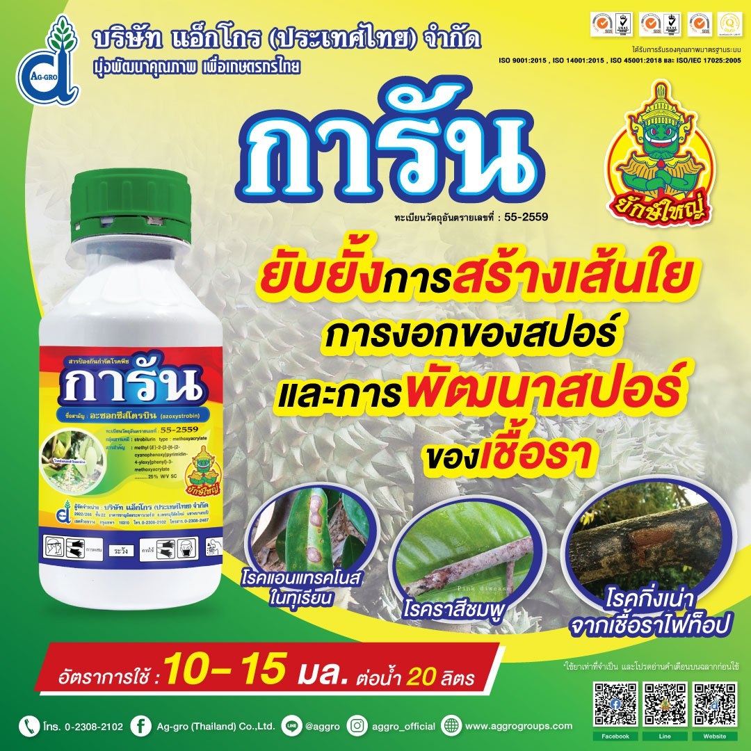 My Image 31