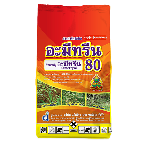 My Image 33