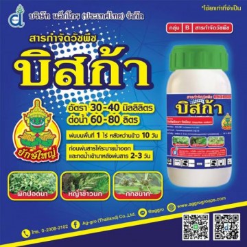 บิสก้า