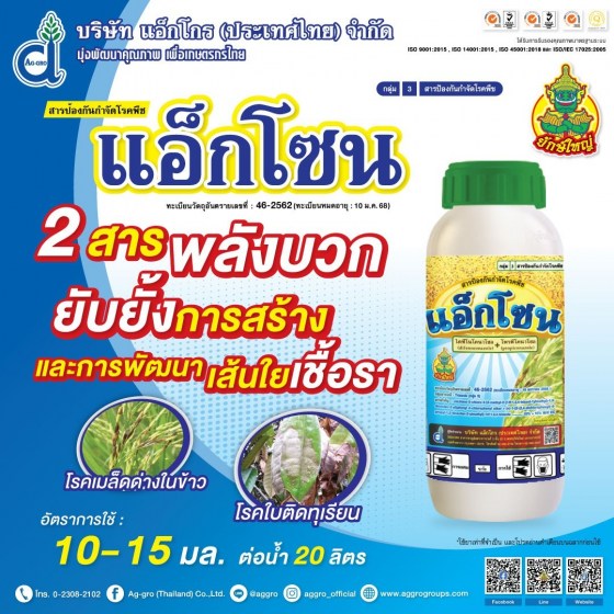 แอ็กโซน