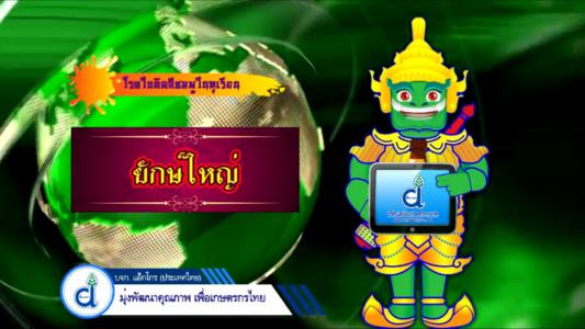 โรคใบติดทุเรียนกับนายยักษ์ใหญ่