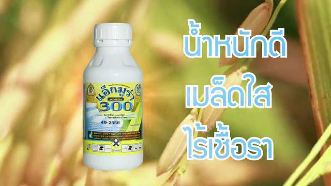 แอ็กมูร่า 300