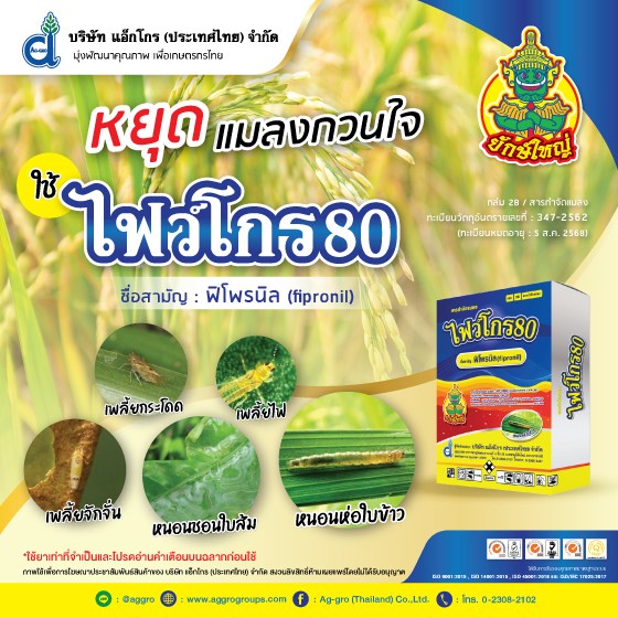 ไฟว์โกร80