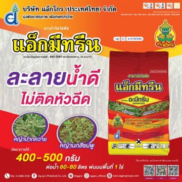 แอ็กมีทรีน